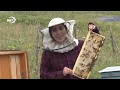 Дагестанские пчеловоды и горный мед