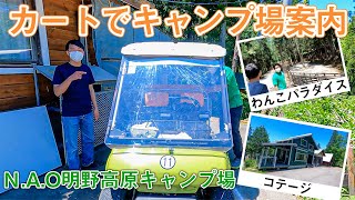 N A O明野高原キャンプ場 わんこパラダイスとコテージ紹介 Youtube