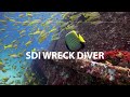 Cours de certification de spcialit wreck diver  scuba diving international  sdi