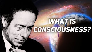 What is Consciousness ?  Alan Watts About The Patterns Of Life