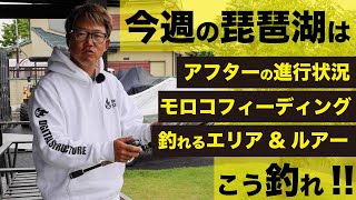 今週のバス釣り予想：梅雨入り前の釣れるエリア・ルアー・アクション