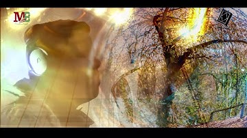 سورة الاسراء الايه 82 - بصوت القارئ محمد الفيومي