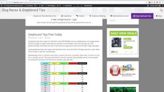 Full Time Income With Betting On Greyhounds