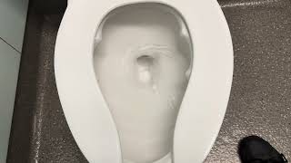 American Standard Everclean Afwall with bedpan lugs