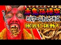 限界に挑戦！ジャイアントミルワームわんこそば何杯喰えるか！？