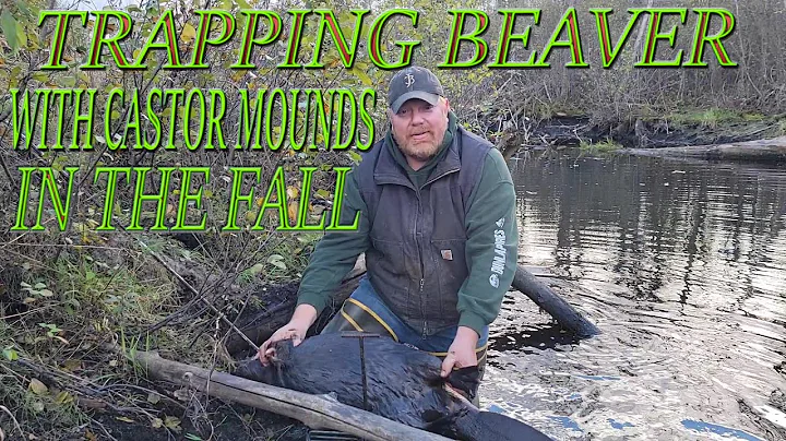 Trapping beaver in the fall with Jeff Hagerty usin...