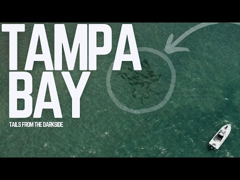 We Fought a GIANT Tarpon for HOURS in TAMPA BAY!
