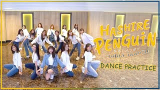 【Dance Practice】Hashire! Penguin - วิ่งไปสิ...เพนกวิน / BNK48