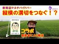 【美善/BIZEN】田んぼの溝切り　縦横を繋いで排水効果をたかめよう