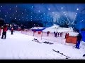 Сноуборды в Дубаи -  +40 Снег -  Ski Dubai - ССЫЛКА В ОПИСАНИИ !!!