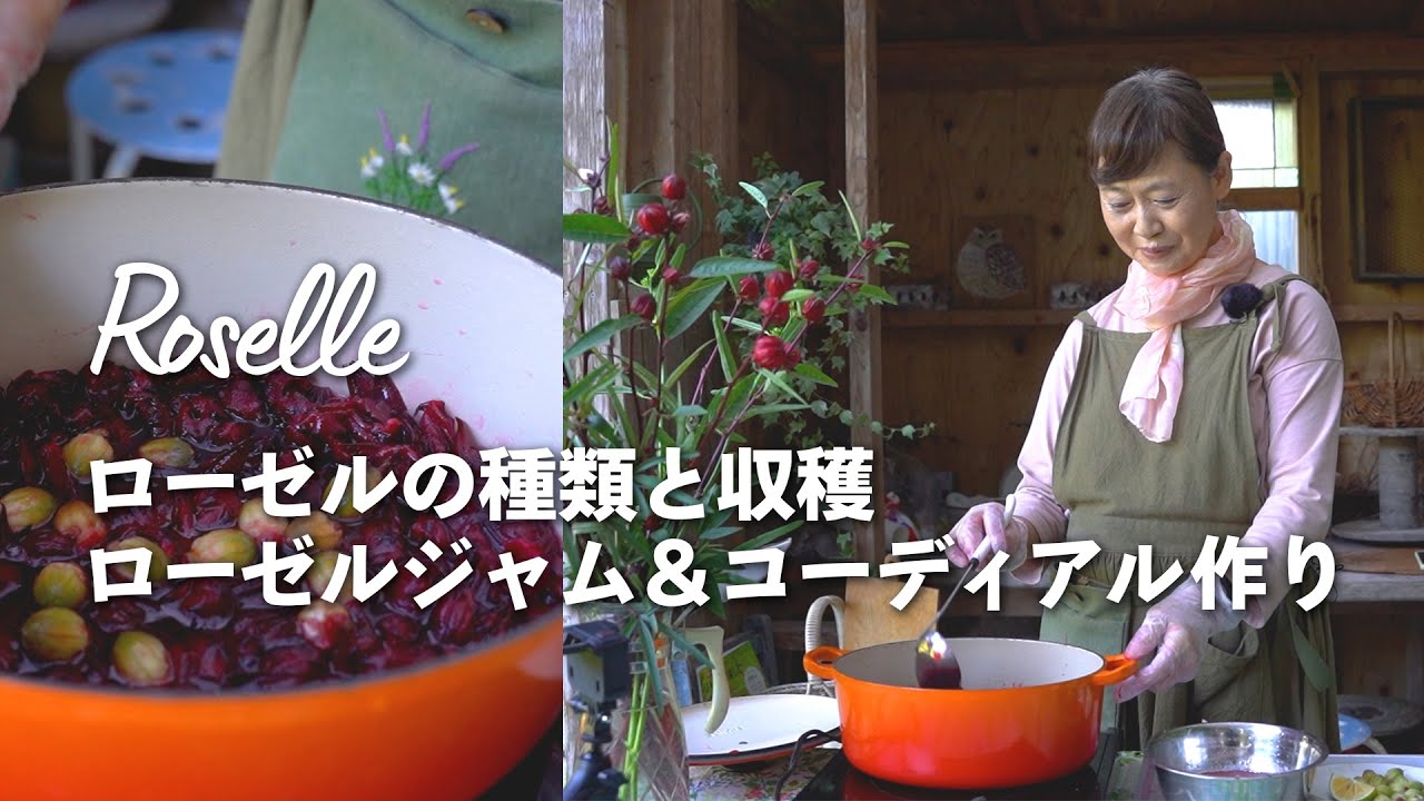 ローゼルさま用 ローゼルエキス末 天然酸味・抗酸・美容に役立つハイビスカス抽出物