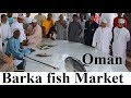 Oman/Barka Fish Market Part 37