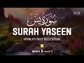 Worlds most amazing recitation of surah yasin yaseen     zikrullah tv