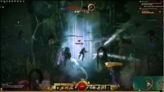 Guild Wars 2: Champion Harathi Overlord & The Blood Witch