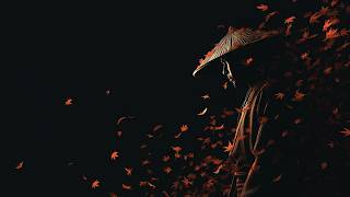 Jinen (自然) - Tranquil Japanese Flute Music for Deep Contemplation