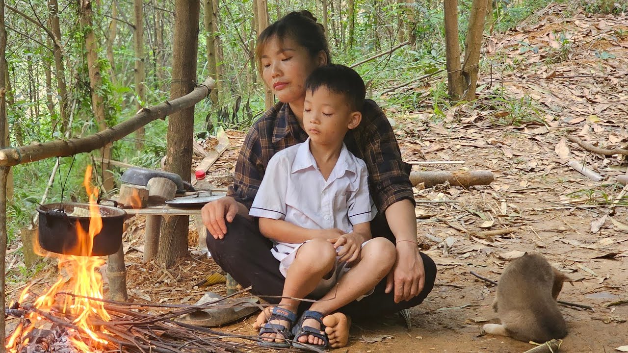 17 year old single mother, Harvest corn to sell at market, Ly thi dat ...