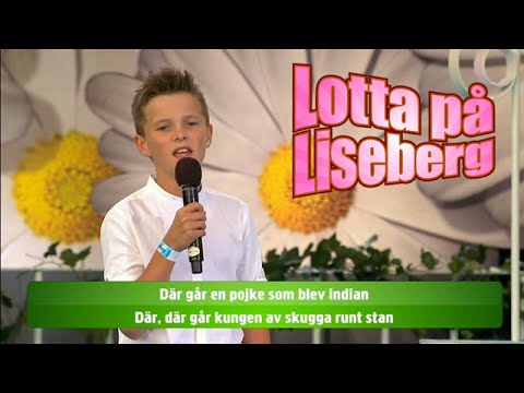 Adam i publiken - Det gåtfulla folket - Lotta på Liseberg (TV4)