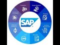 Why SAP ?  Why not any other ERP ?