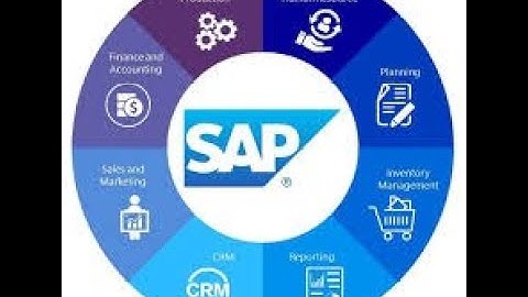 Why SAP ?  Why not any other ERP ?