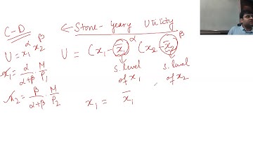 Stone-Geary Utility Function Explained | MA Economics Entrance Prep