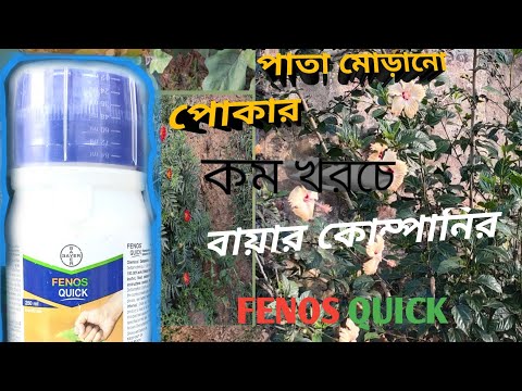 ভিডিও: কৃত্রিম পাইরেথ্রয়েড। অংশ ২