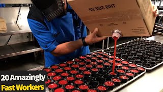 Top 20 Fastest Workers Compilation | Fast Workers
