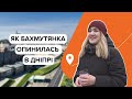Поїхали на канікули і залишились: як бахмутянка переїхала у Дніпро