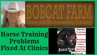 Horse Training Problems Fixed At Clinics