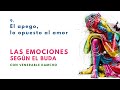 El apego, lo opuesto al amor "Las emociones según el Buda 9"