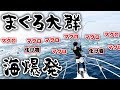 【衝撃映像】巨大マグロの大群にルアー投げたら？海に引きずり込まれるッ!! 4K supernabura