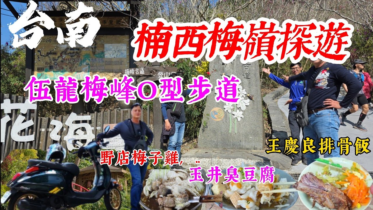 〔機車旅遊台南楠西梅嶺探遊〕一月的東北季風那麼強，不知道台南梅嶺的梅花盛開了沒？車友們要一起來吃梅子雞跟賞花嗎？梅嶺的四大步道梅嶺伍龍步道梅峰古道／百年梅花王／王慶良排骨飯／野店梅子雞／玉井無名臭豆腐