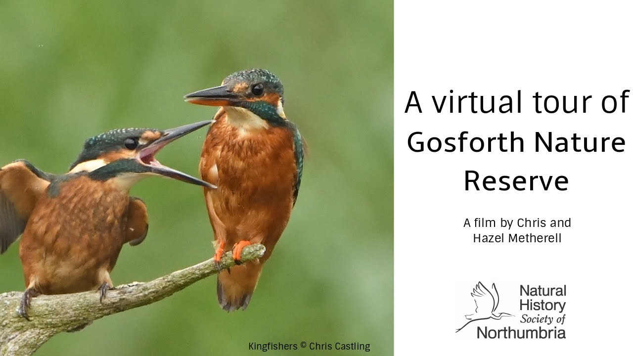 A Virtual Tour of Gosforth Nature Reserve