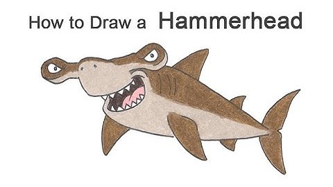 How to Draw a Hammerhead Shark (Cartoon)