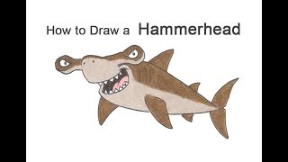 How to Draw a Hammerhead Shark (Cartoon)