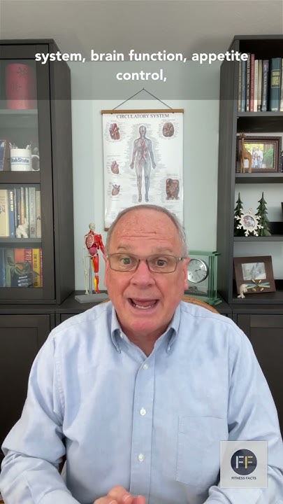 how-does-diet-impact-your-gut-mircobiome-youtube