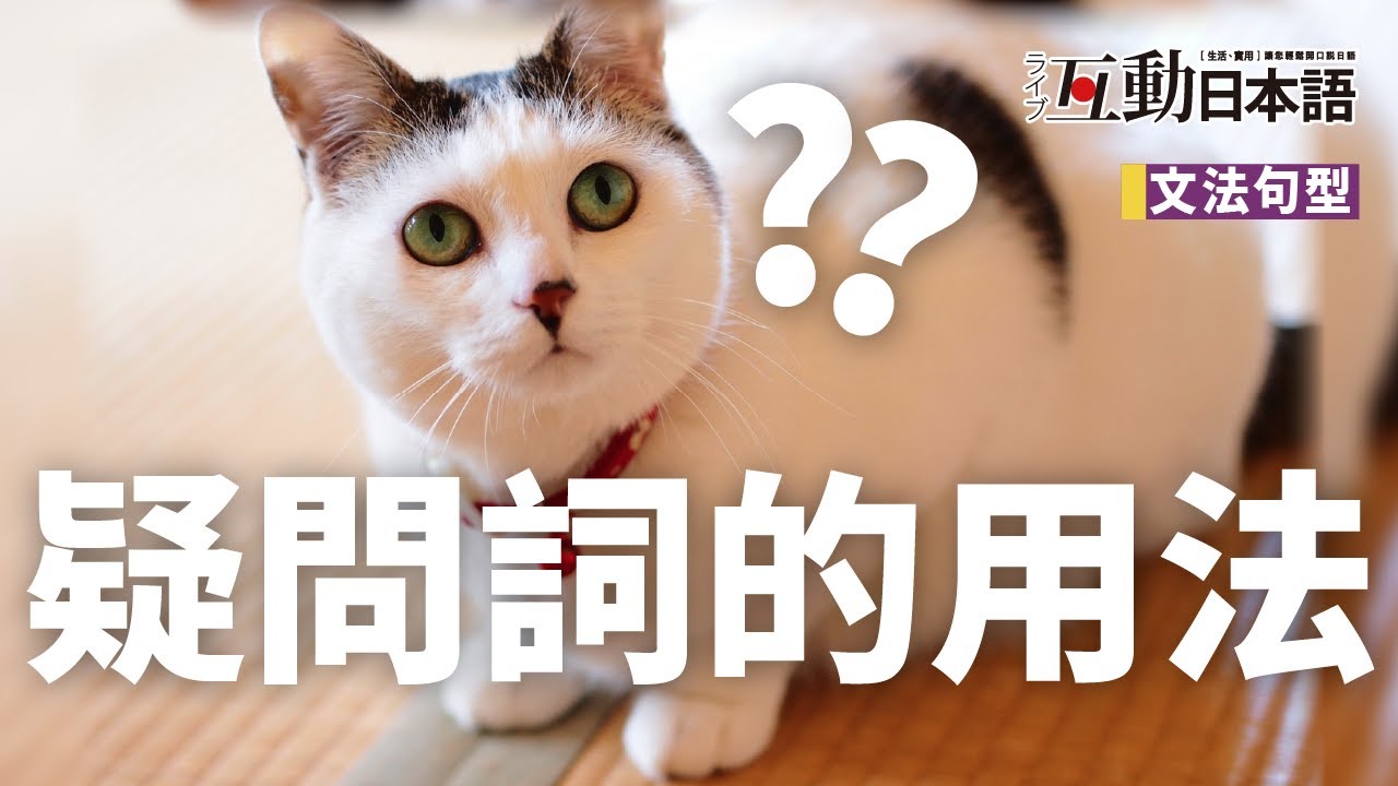 日文疑問詞的用法解析