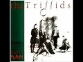 The Triffids - Rosevel