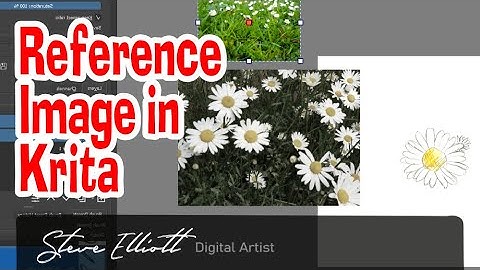 How to use the reference window in Krita