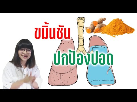 [Beat LIVE] ขมิ้นชัน ปกป้องปอดไม่ให้เกิดพังพืด ลดการอักเสบ