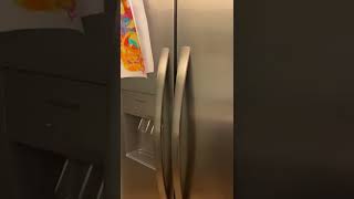 Frigidaire side by side FRSS2323AS 3 months old