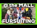 Fursuiting at the Mall on Halloween!