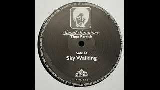 Theo Parrish - Sky Walking (1998)