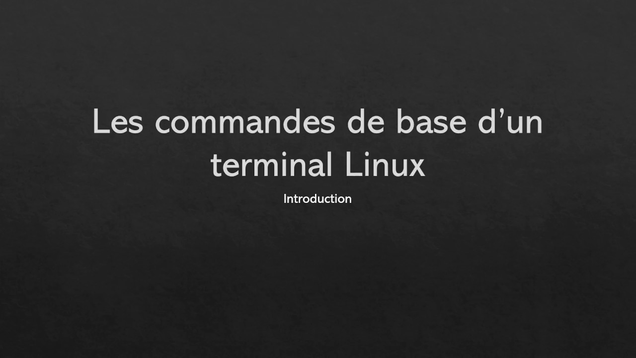 Linux : Les commandes de base d'un terminal - YouTube