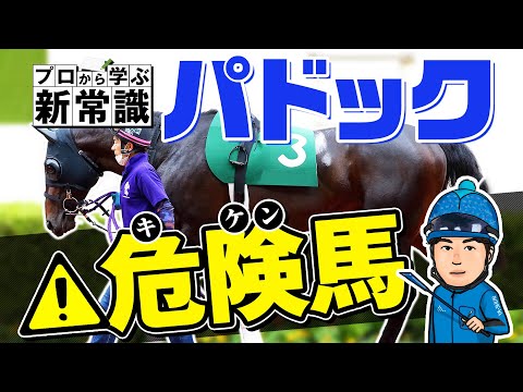 【パドックの見方】プロが危険馬の見極め方を伝授！元同僚の獣医師と語るパドック新常識！【競馬予想】