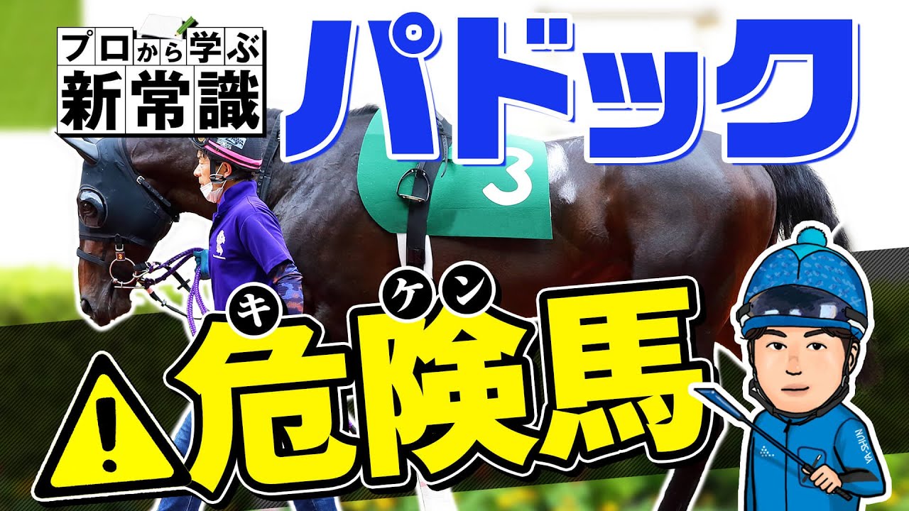 【パドックの見方】プロが危険馬の見極め方を伝授！元同僚の獣医師と語るパドック新常識！【競馬予想】