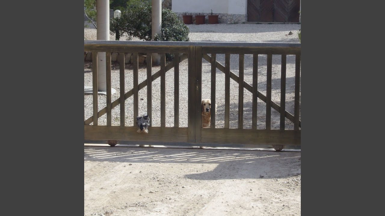 Cameron Rees - YouTube