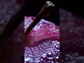 Time to Shine – tubebackr & Popsicles #backgroundmusic #music #viral #musikviral