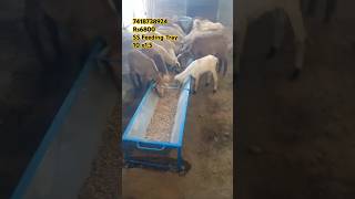 Ss Feeder Box Goat Feed Ss தரபபடககத தவனத தடட ஆடடகக