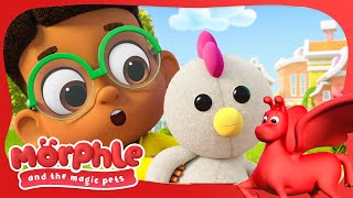 Mega Chickie | Morphle and the Magic Pets | Available on Disney+ and Disney Jr by Moonbug Kids - Celebrating Diversity 7,824 views 3 weeks ago 2 minutes, 7 seconds