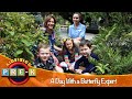 A day with a butterfly expert  butterfly world virtual field trip  kidvision prek